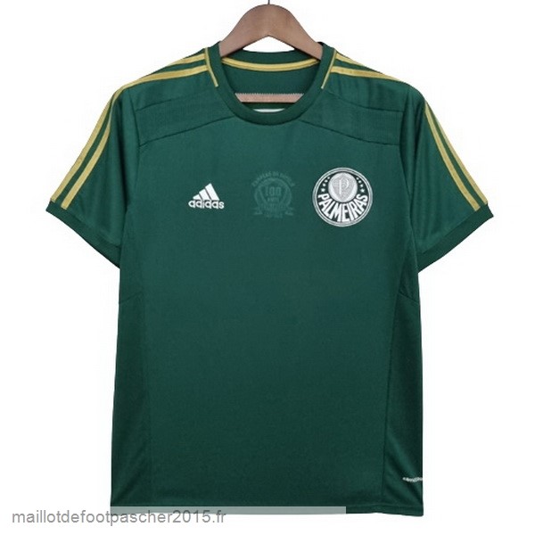 Maillot Foot Achat Domicile Maillot Palmeiras Rétro 2014 2015 Vert