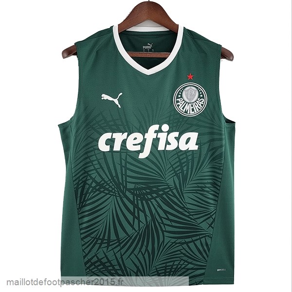 Maillot Foot Achat Domicile Maillot Sans Manches Palmeiras 2022 2023 Vert