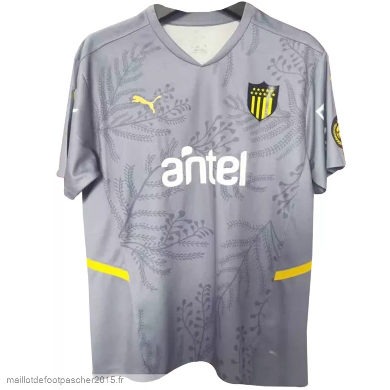 Maillot Foot Achat Thailande Exterieur Maillot Penarol 2022 2023 Gris